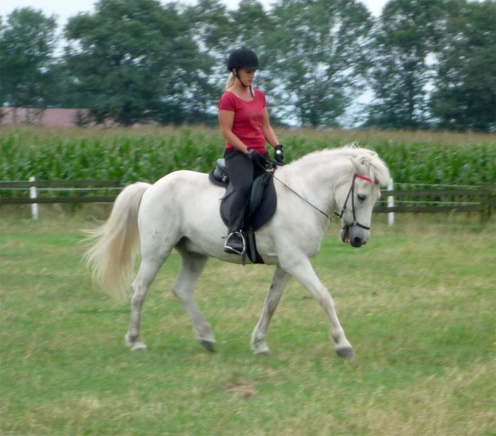 Sandra & Svalin