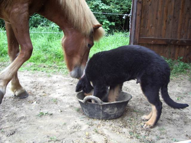Leon & Spori
