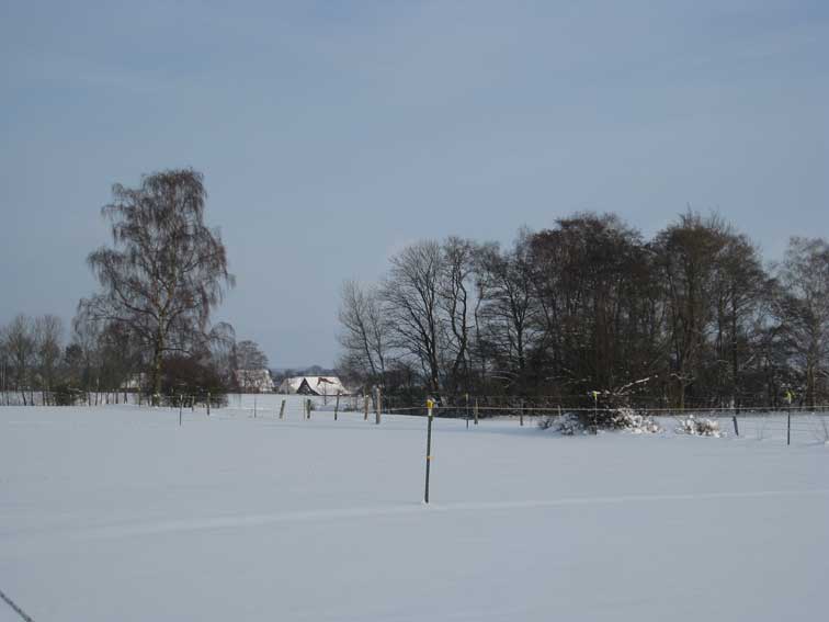 Winterimpressionen