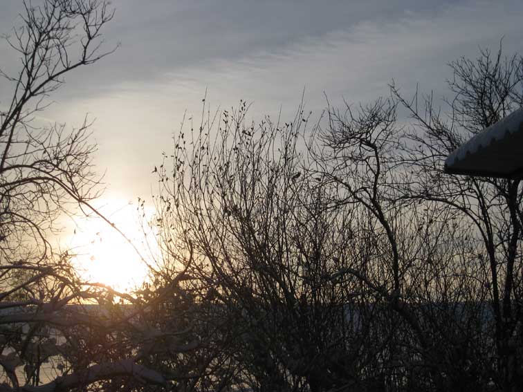 Winterimpressionen