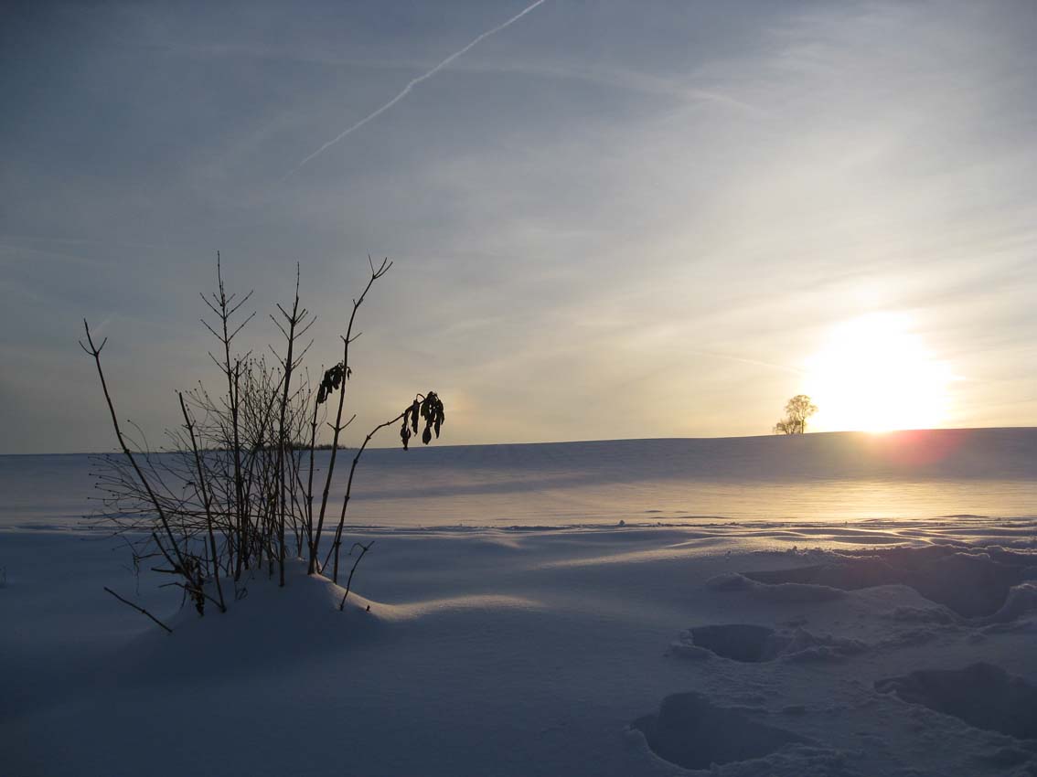 Winterimpressionen