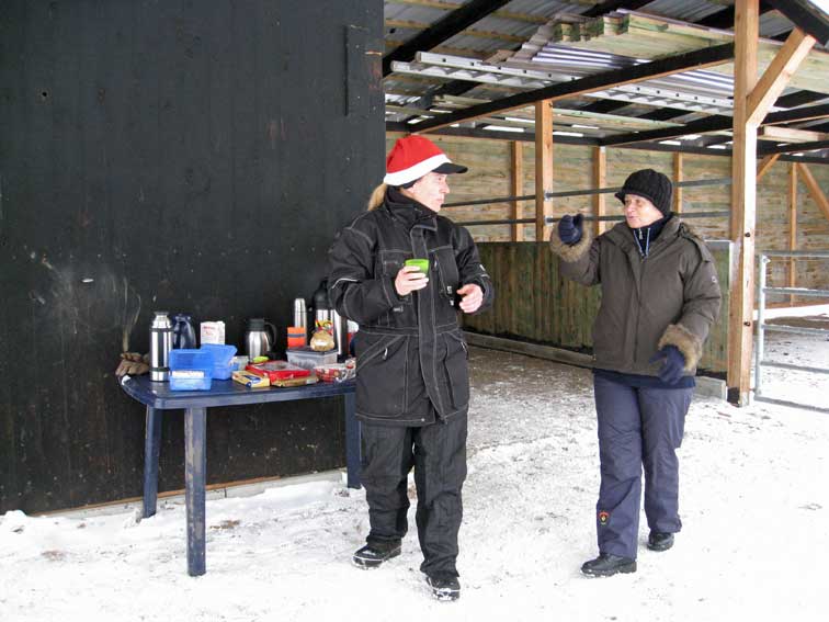 weihnachtliche Leckereien