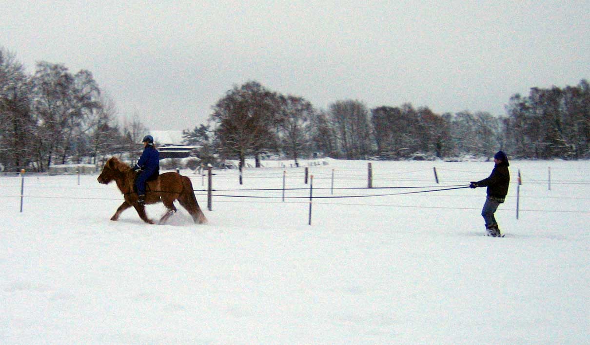 Ski-Jöring