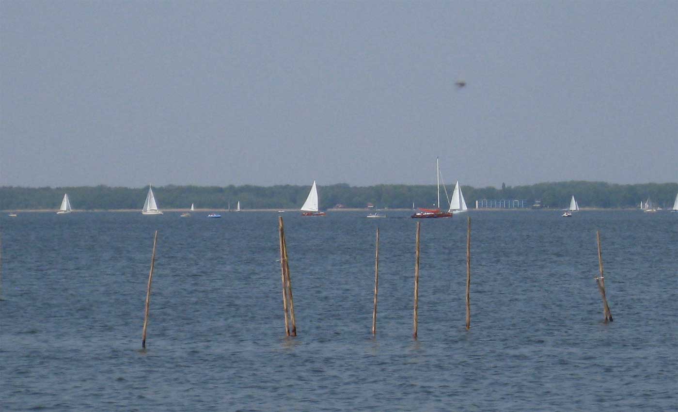 Blick auf's Steinhuder Meer