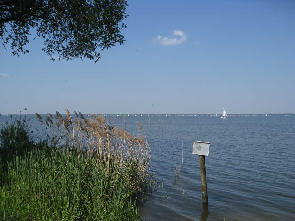 Blick auf's Steinhuder Meer