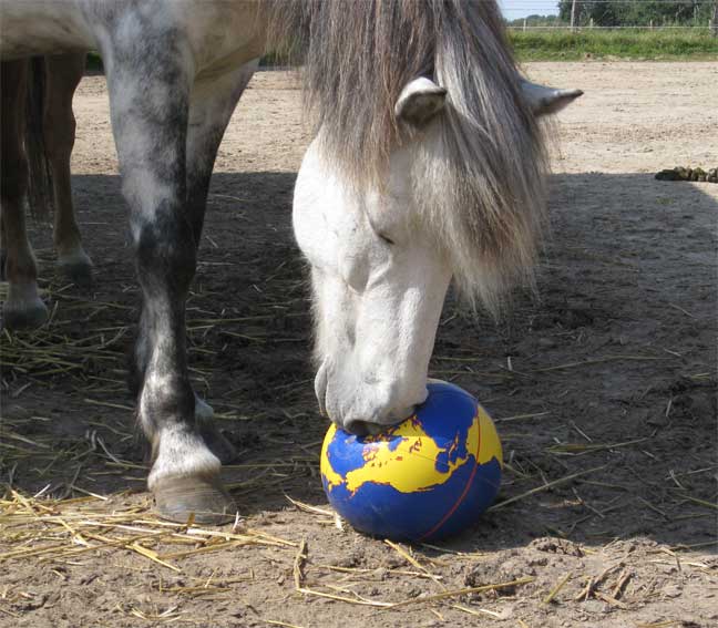 Glæsir bei der Ballannahme