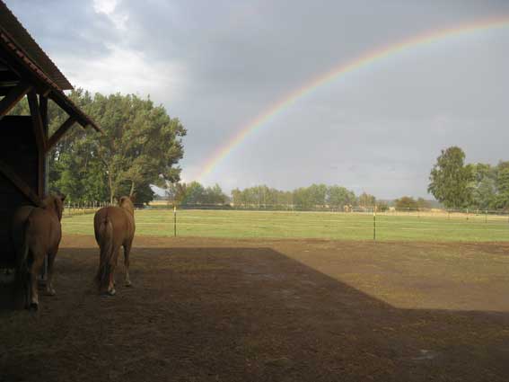 Isi-WG unterm Regenbogen