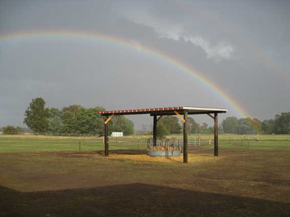Winzlar unterm Regenbogen