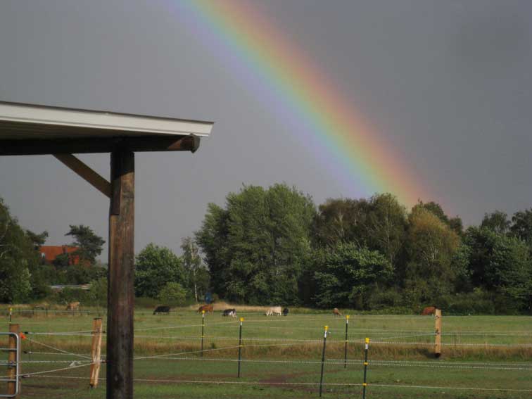 Winzlar unterm Regenbogen