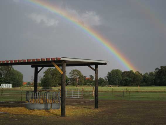 Futterraufe unterm Regenbogen