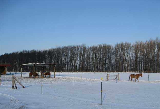 Winter in Winzlar