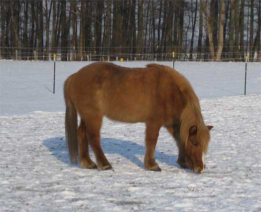 hm lecker Schnee