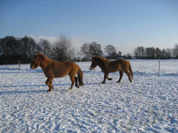 Schneespiele