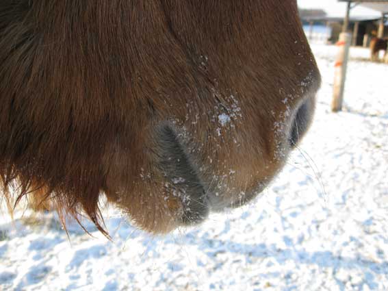 Winterimpressionen
