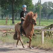 Sveipur & Karen